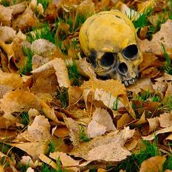 Karmic Ashes : Numine